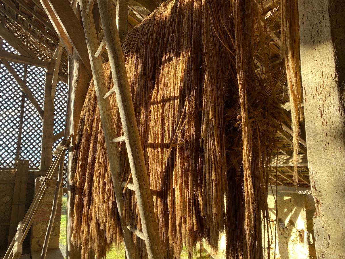 La Maison De Manon Mirande  Bagian luar foto